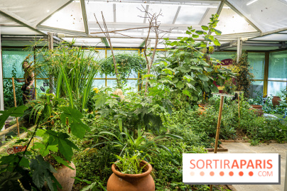 La Serre aux Papillons du Parc Floral 