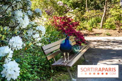 Le Parc Floral en photos 