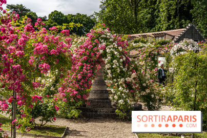 Photos : La Roseraie du val-de-Marne