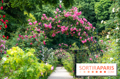 Photos : La Roseraie du val-de-Marne