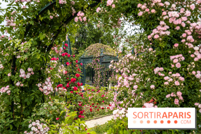 Photos : La Roseraie du val-de-Marne