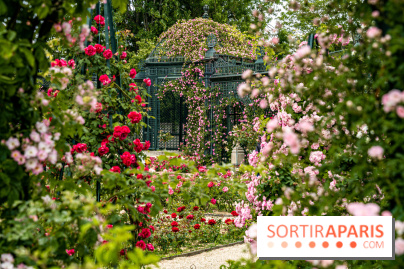 Photos : La Roseraie du val-de-Marne