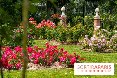 La Roseraie du Parc Lebaudy sur l'Ile de Puteaux