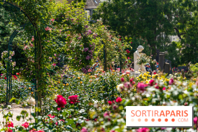 Photos La roseraie du Jardin des Plantes 