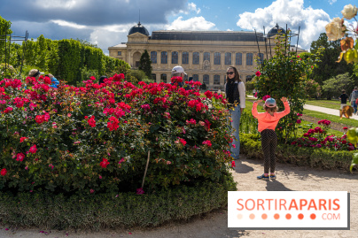 Photos La roseraie du Jardin des Plantes 