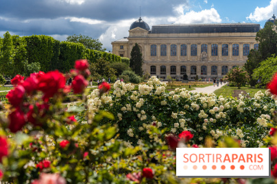 Photos La roseraie du Jardin des Plantes 