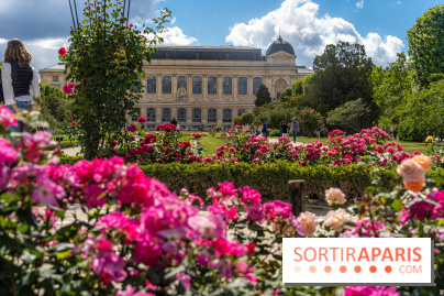 Photos La roseraie du Jardin des Plantes