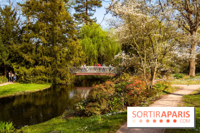Arboretum de la Vallée-aux-Loups, une balade au milieu des arbres remarquables - A7C09395