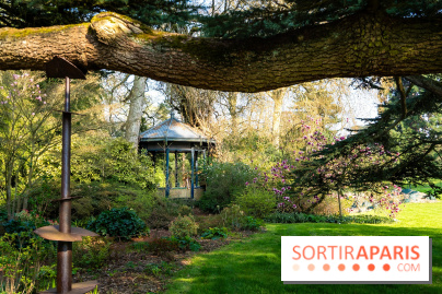 Arboretum de la Vallée-aux-Loups, une balade au milieu des arbres remarquables - A7C09402