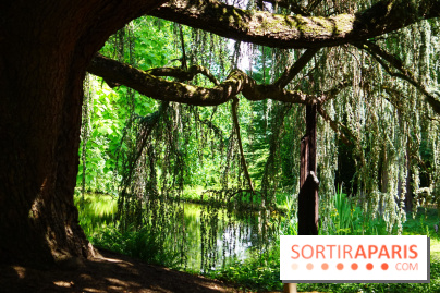 Arboretum de la Vallée-aux-Loups, une balade au milieu des arbres remarquables