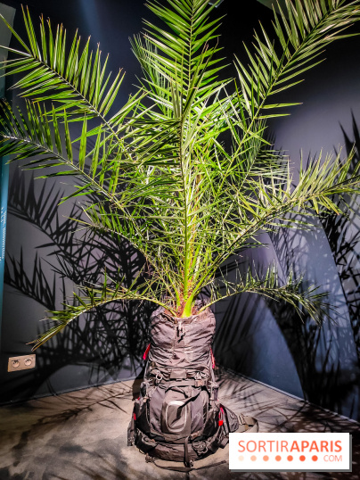 Faut-il voyager pour être heureux ?, l'exposition dépaysante de l'Espace Fondation EDF - nos photos