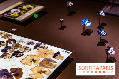 Exposition Végétal  by Chaumet aux Beaux Arts de Paris