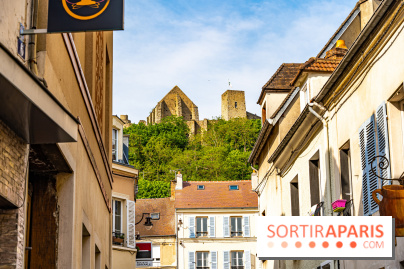 La promenade des petits ponts dans la vallée de Chevreuse -  A7C3914
