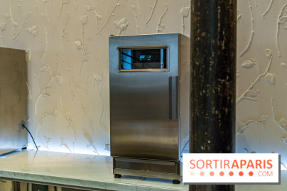 Les glaces de Jacques Génin à Paris