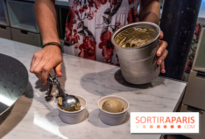 Les glaces de Jacques Génin à Paris