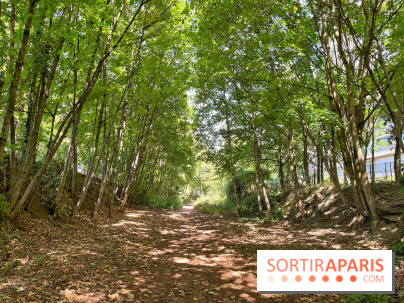 Balade sur la Petite Ceinture du 14 au 16e arrondissement : un sentier nature dépaysant