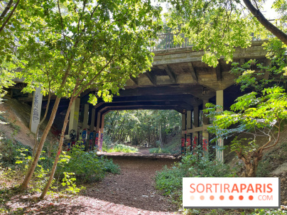 Balade sur la Petite Ceinture du 14 au 16e arrondissement : un sentier nature dépaysant