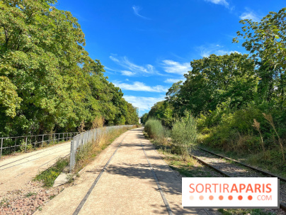 Balade sur la Petite Ceinture du 14 au 16e arrondissement : un sentier nature dépaysant