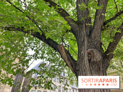 6 anecdotes ésotériques et mystérieuses autour de monuments parisiens