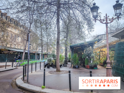 Visuels Paris - marché aux fleurs Elisabeth II