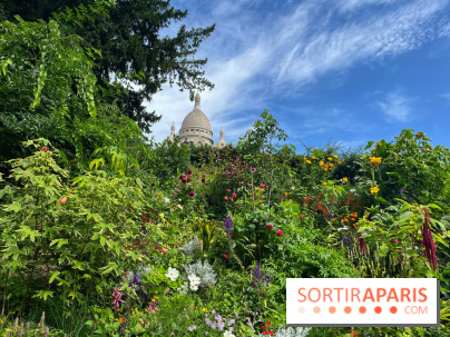 Visuels Paris - montmartre sacré cœur