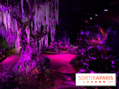 Forêt Bioluminescente - Serre Papillons