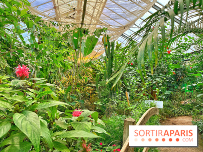 Serre Papillons - La Queue-lez-Yvelines