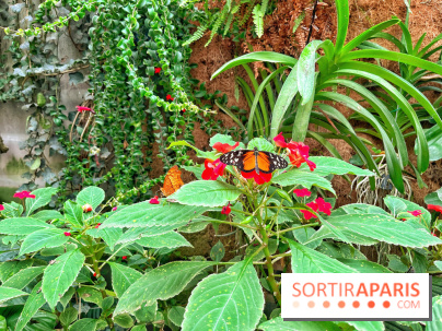 Serre Papillons - La Queue-lez-Yvelines