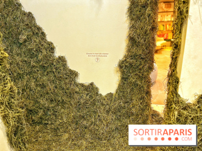 Le Chant des Forêts, l'exposition sensible et gratuite du Maif Social Club