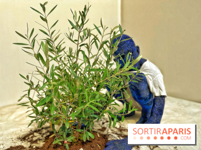 Le Chant des Forêts, l'exposition sensible et gratuite du Maif Social Club