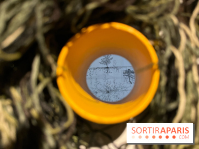 Le Chant des Forêts, l'exposition sensible et gratuite du Maif Social Club