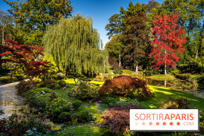 Le Jardin japonais du Château de Courances