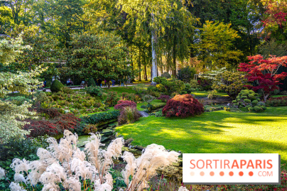 Le Jardin japonais du Château de Courances