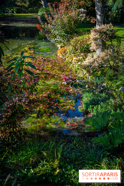 Le Jardin japonais du Château de Courances