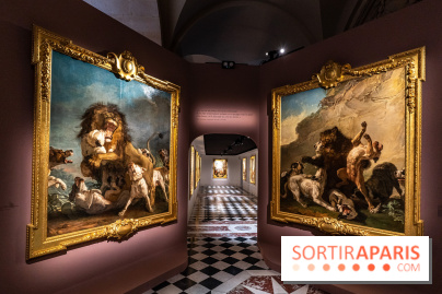 Exposition Louis XV au Château de Versailles - le roi chasseur - lion d'afrique - ours de Pologne - jean Jacques bachelier