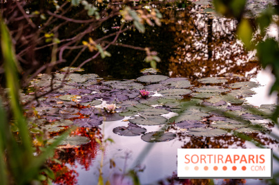 Les Jardins de la Maison Claude Monet à l'automne