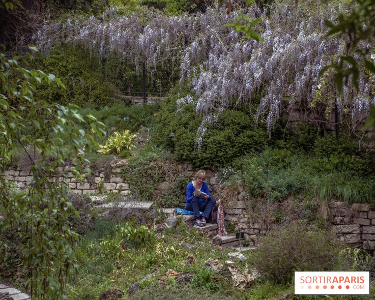 Le Jardin Alpin caché du Jardin des Plantes