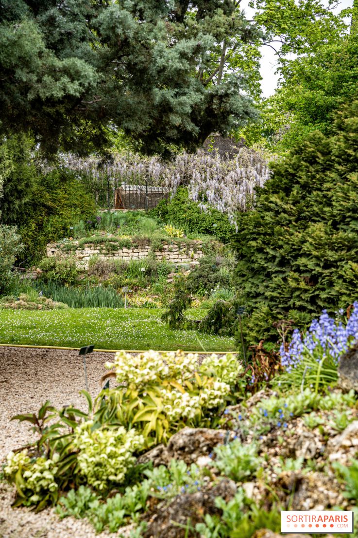 Le Jardin Alpin caché du Jardin des Plantes