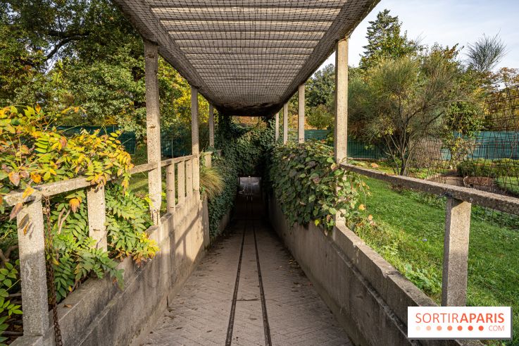 Le Jardin Alpin caché du Jardin des Plantes