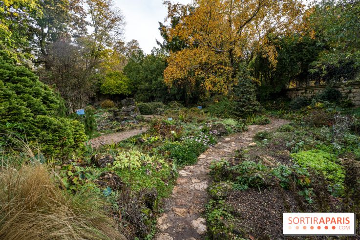 Le Jardin Alpin caché du Jardin des Plantes