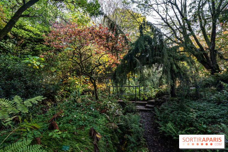 Le Jardin Alpin caché du Jardin des Plantes