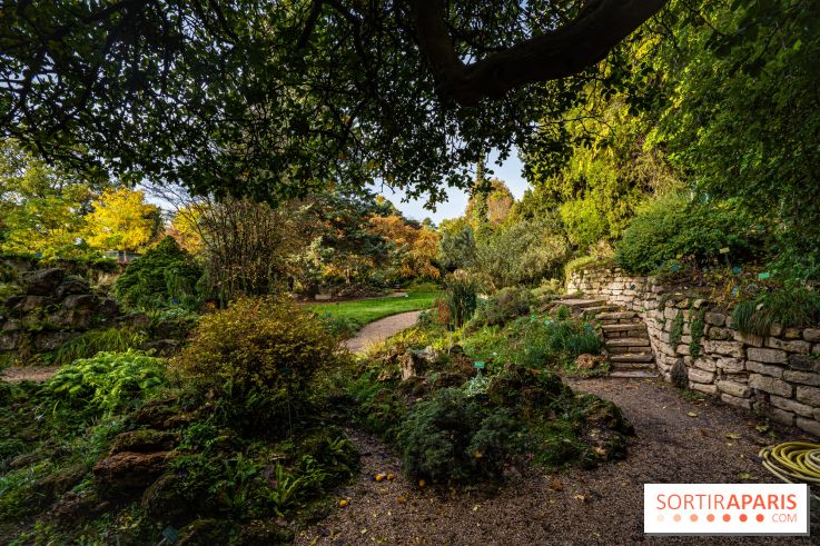 Le Jardin Alpin caché du Jardin des Plantes