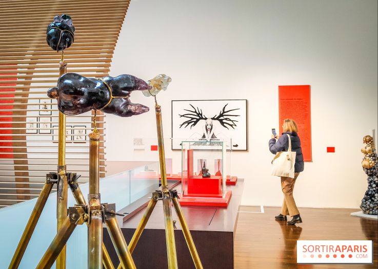 Arts et Préhistoire, l'exposition de peintures rupestres au Musée de l'Homme - nos photos