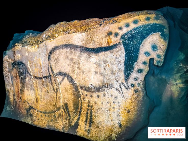 Arts et Préhistoire, l'exposition de peintures rupestres au Musée de l'Homme - nos photos