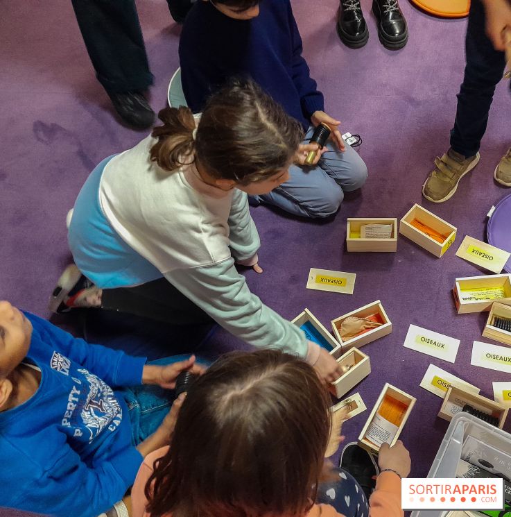 Musicanimale, l'exposition à la Philharmonie
