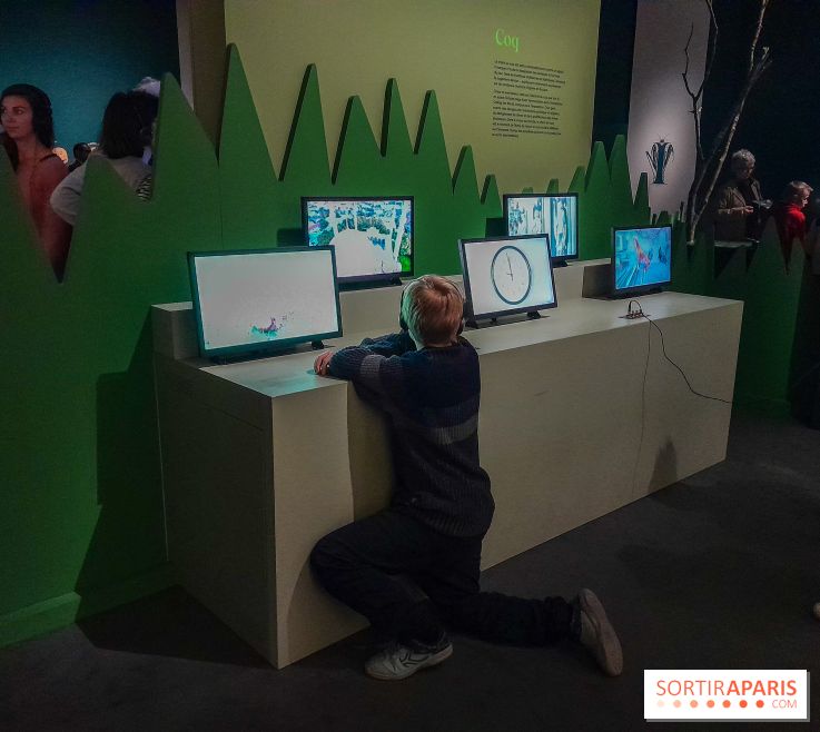 Musicanimale, l'exposition à la Philharmonie