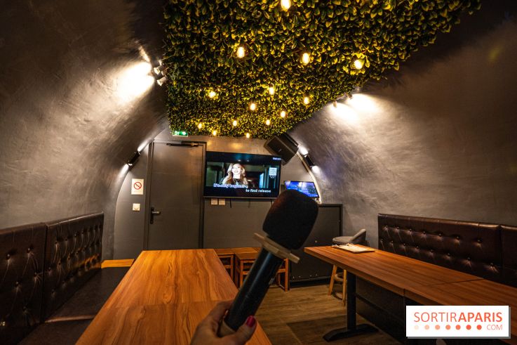 Dimdimsum Paris, le restaurant de vapeurs - karaoké