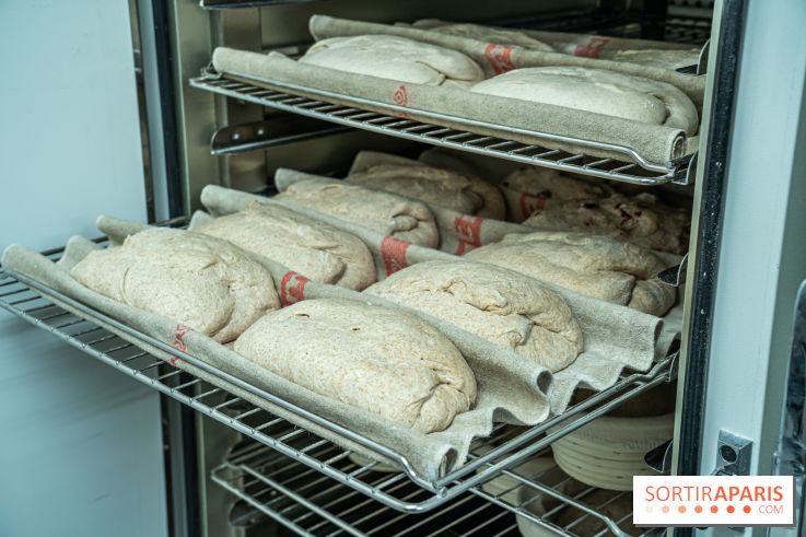 Boulangerie artisanale MieMie, levain et farines anciennes Paris 11e - levée - pain levain - fermentation longue