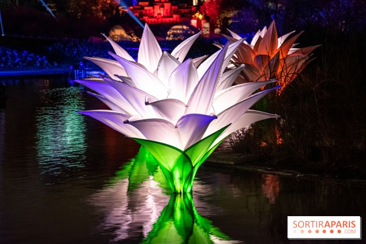 Illuminations de Noël 2022 : les Sentiers Lumineux de Noël au Parc Floral - nos photos