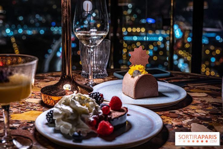 Too Restaurant - Too hôtel Paris - photos - menu - dessert - buche